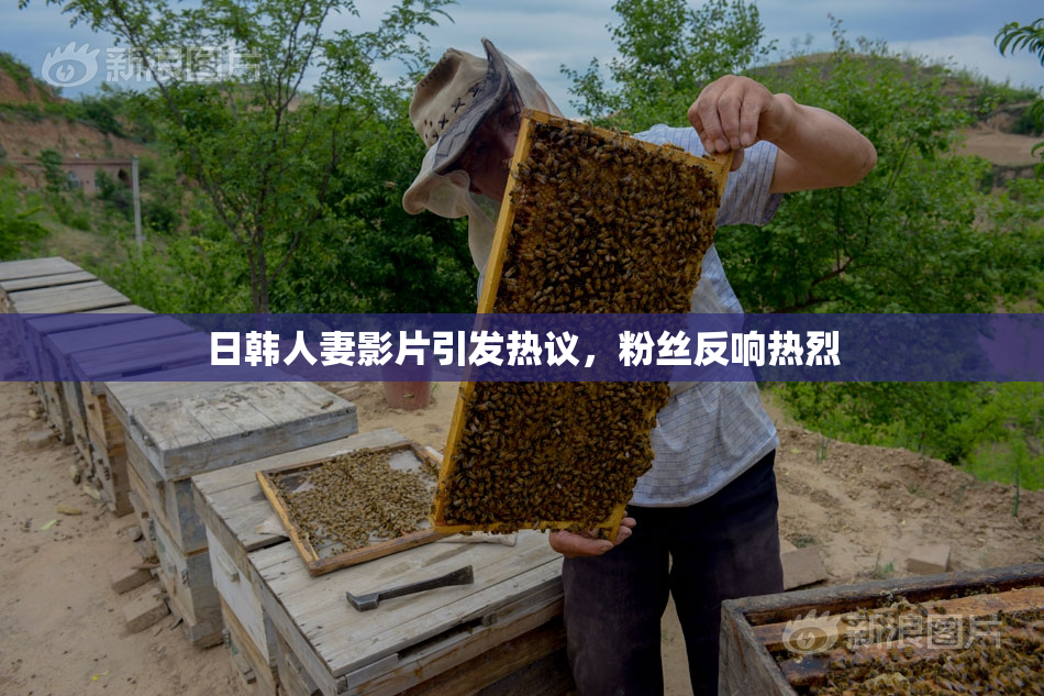 日韩人妻影片引发热议，粉丝反响热烈