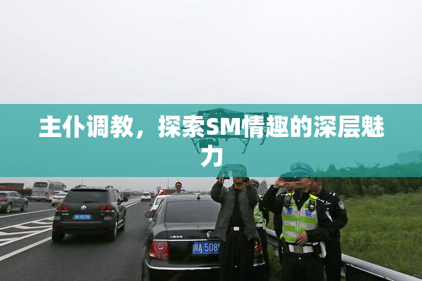 主仆调教，探索SM情趣的深层魅力
