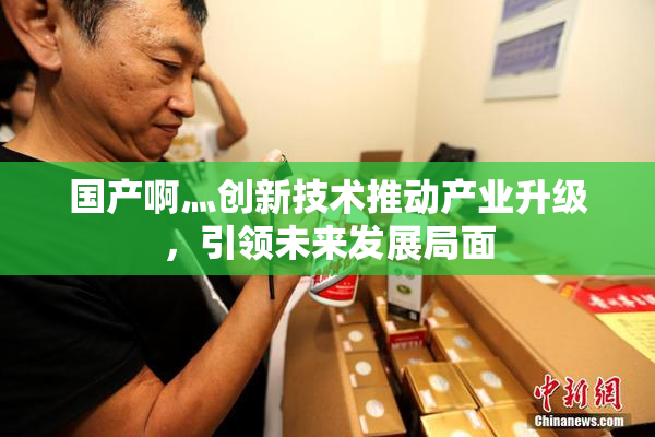 国产啊灬创新技术推动产业升级，引领未来发展局面
