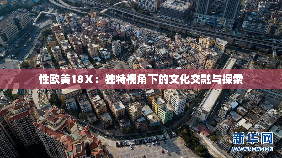 性欧美18Ⅹ：独特视角下的文化交融与探索