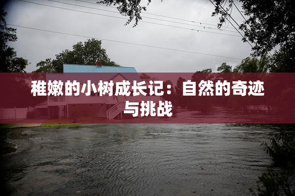稚嫩的小树成长记：自然的奇迹与挑战