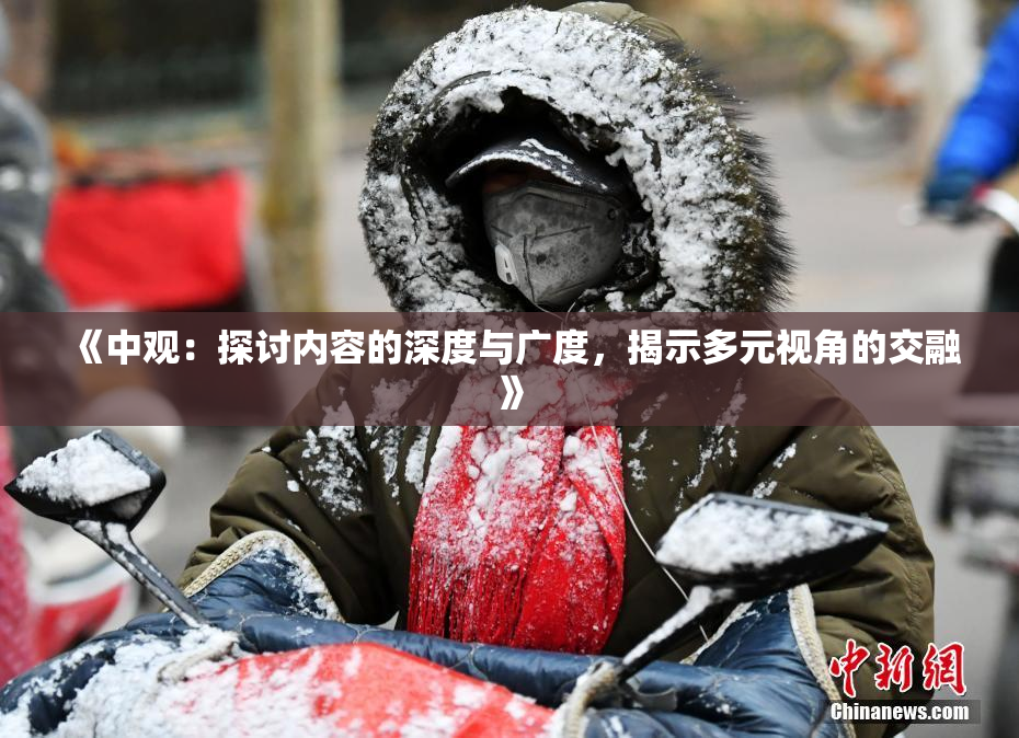 《中观：探讨内容的深度与广度，揭示多元视角的交融》