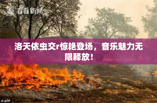 洛天依虫交r惊艳登场，音乐魅力无限释放！