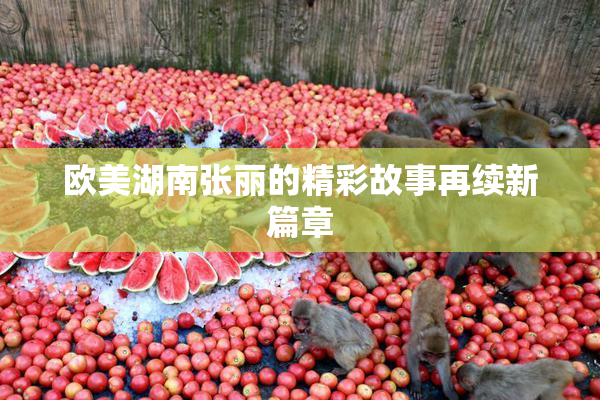 欧美湖南张丽的精彩故事再续新篇章