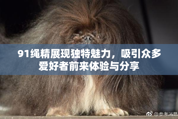 91绳精展现独特魅力，吸引众多爱好者前来体验与分享