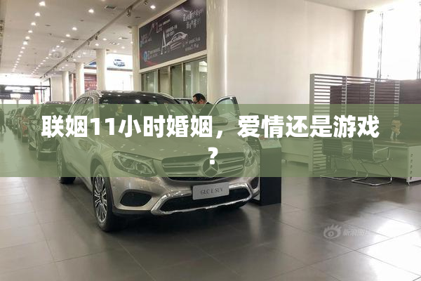 联姻11小时婚姻，爱情还是游戏？