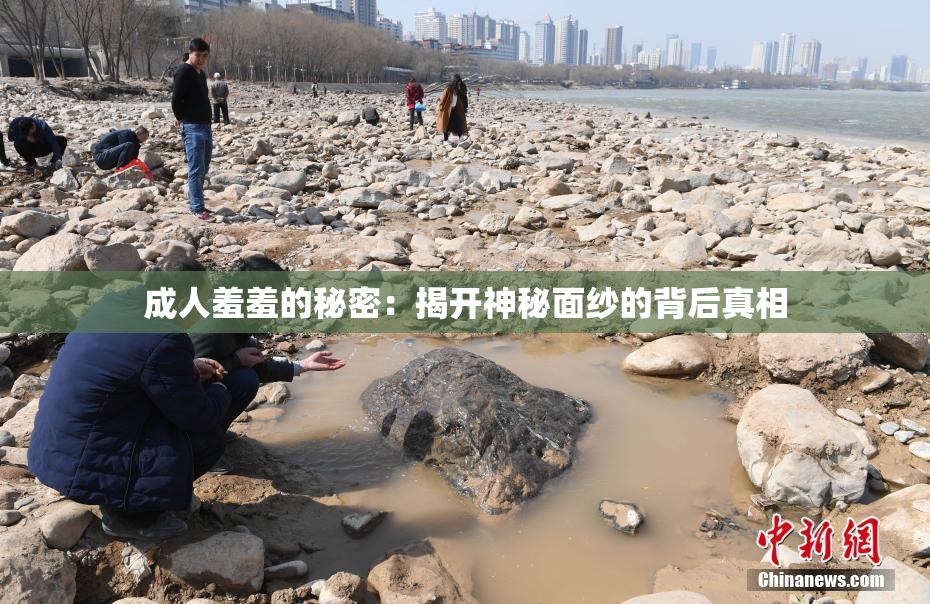 成人羞羞的秘密：揭开神秘面纱的背后真相