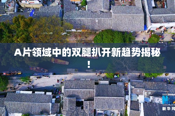A片领域中的双腿扒开新趋势揭秘！