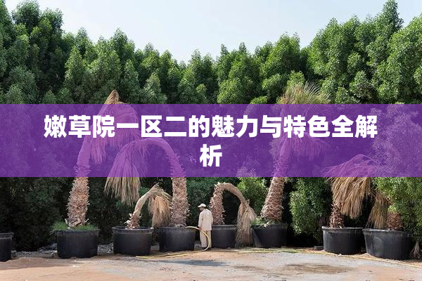 嫩草院一区二的魅力与特色全解析