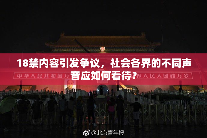 18禁内容引发争议，社会各界的不同声音应如何看待？