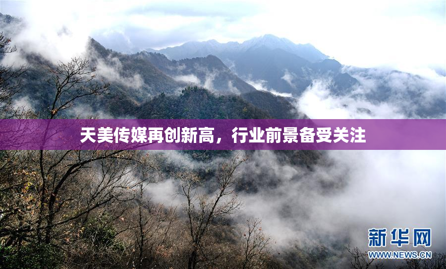 天美传媒再创新高，行业前景备受关注