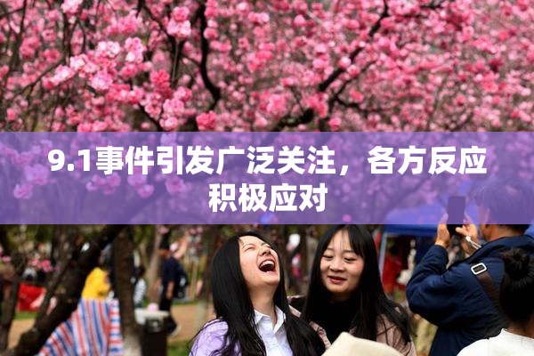 9.1事件引发广泛关注，各方反应积极应对