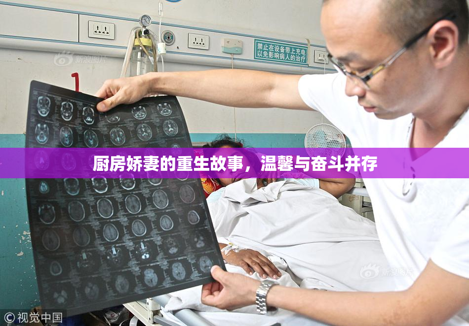 厨房娇妻的重生故事，温馨与奋斗并存