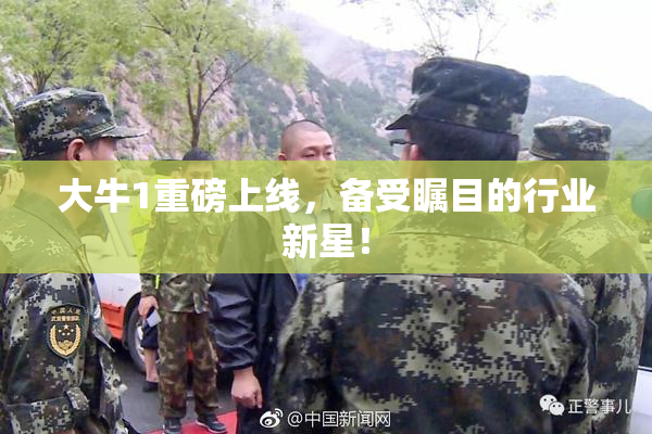 大牛1重磅上线，备受瞩目的行业新星！