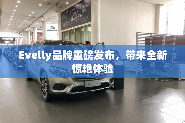 Evelly品牌重磅发布，带来全新惊艳体验