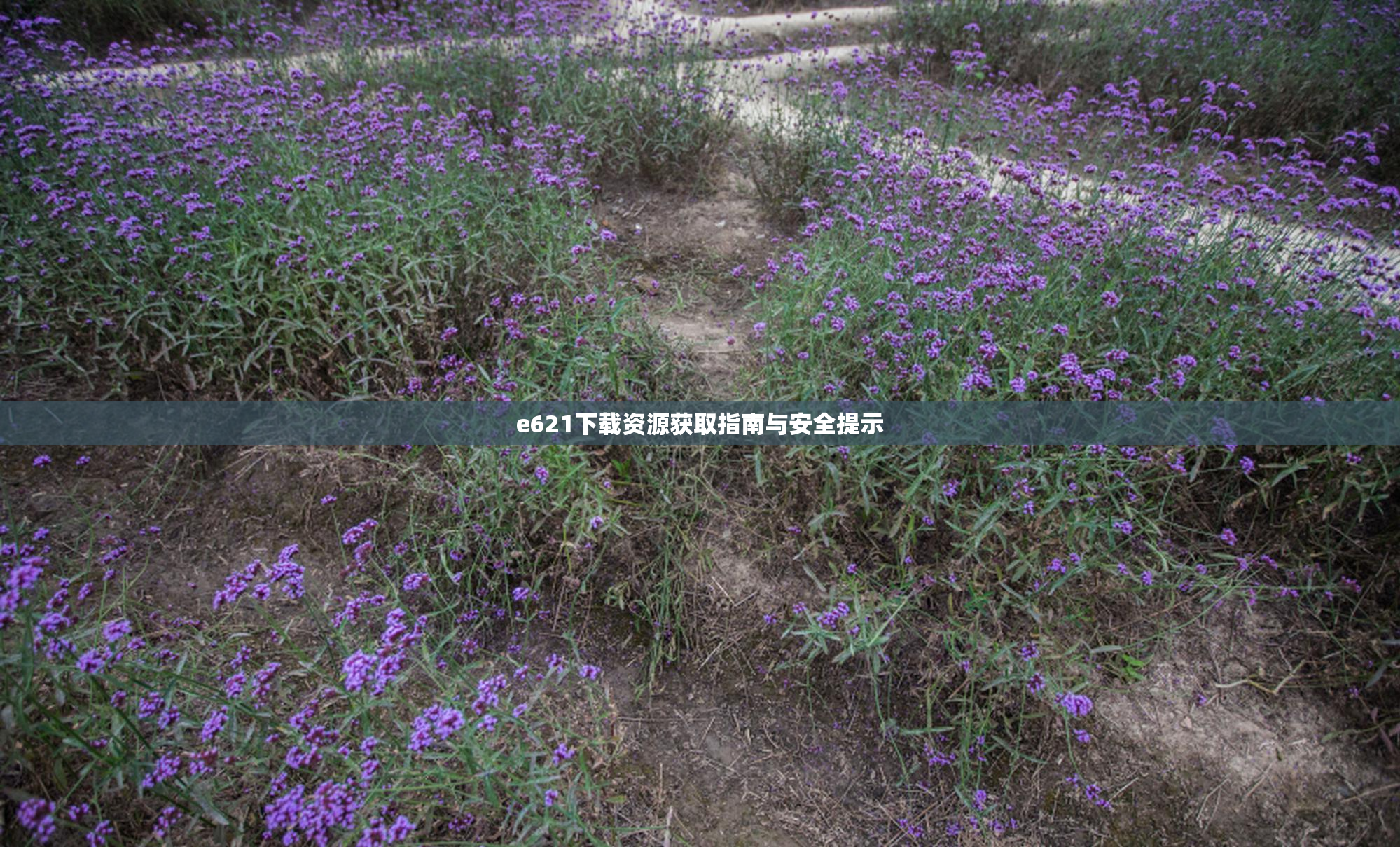 e621下载资源获取指南与安全提示