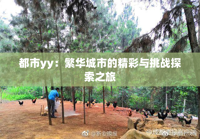 都市yy：繁华城市的精彩与挑战探索之旅