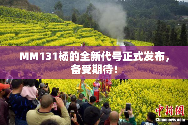 MM131杨的全新代号正式发布，备受期待！