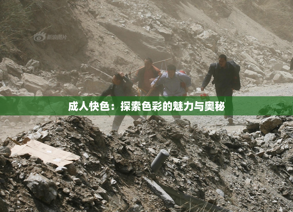 成人快色：探索色彩的魅力与奥秘