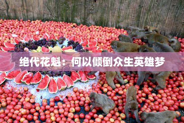 绝代花魁：何以倾倒众生英雄梦