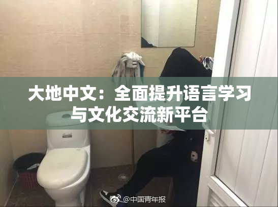 大地中文：全面提升语言学习与文化交流新平台