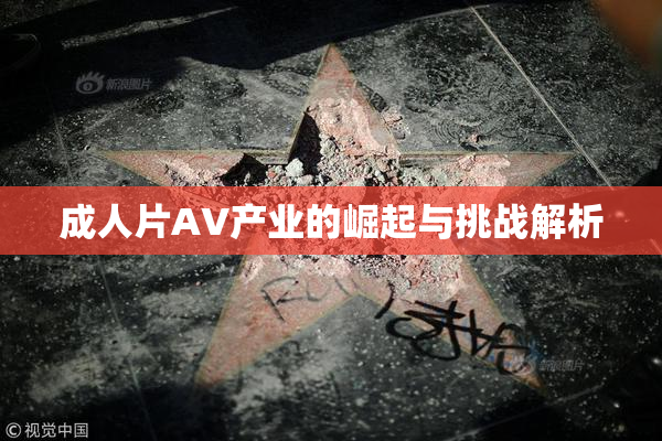 成人片AV产业的崛起与挑战解析