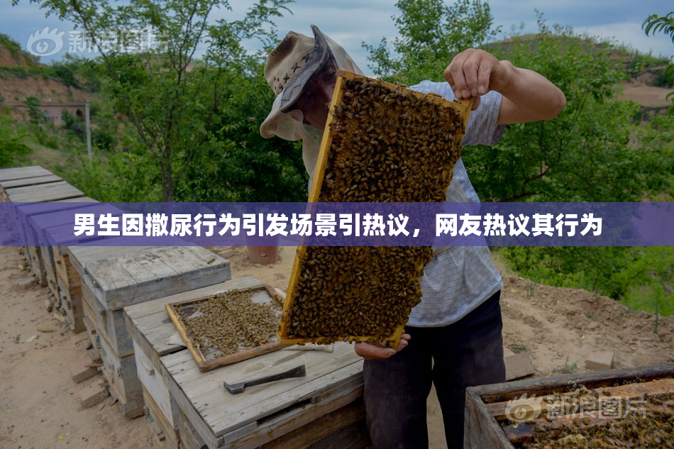 男生因撒尿行为引发场景引热议，网友热议其行为