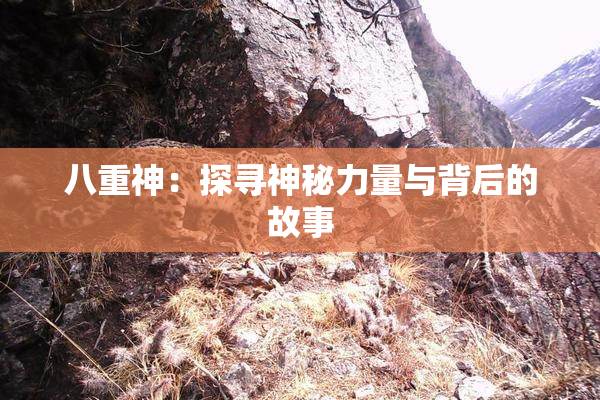 八重神：探寻神秘力量与背后的故事