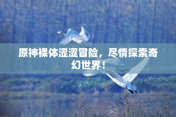 原神裸体涩涩冒险，尽情探索奇幻世界！