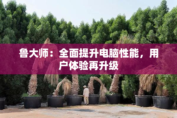 鲁大师：全面提升电脑性能，用户体验再升级