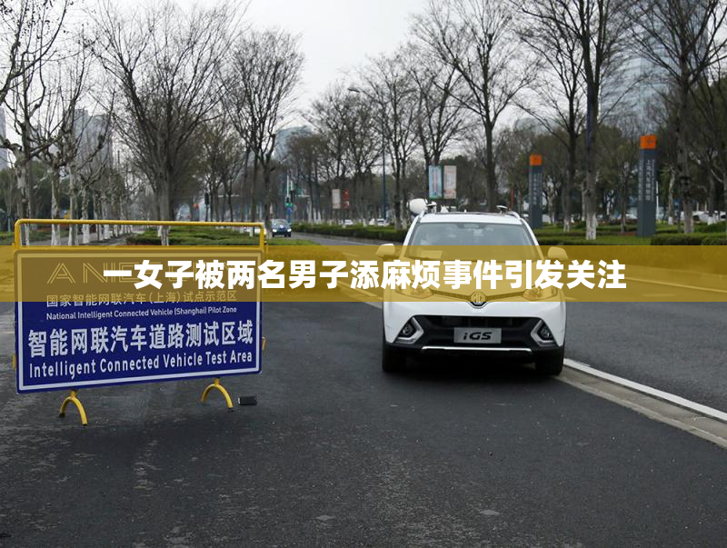 一女子被两名男子添麻烦事件引发关注