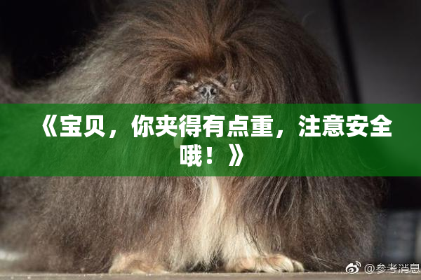 《宝贝，你夹得有点重，注意安全哦！》