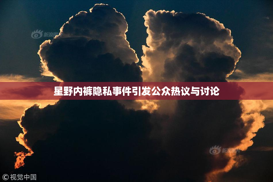 星野内裤隐私事件引发公众热议与讨论
