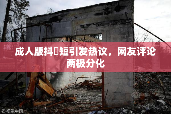 成人版抖抈短引发热议，网友评论两极分化