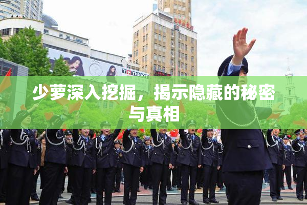 少萝深入挖掘，揭示隐藏的秘密与真相