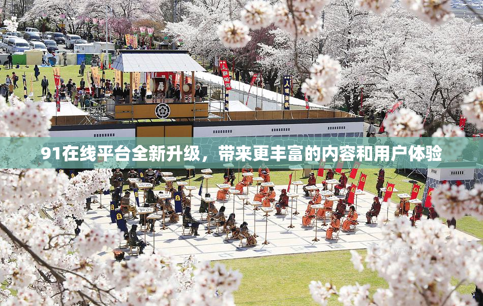 91在线平台全新升级，带来更丰富的内容和用户体验