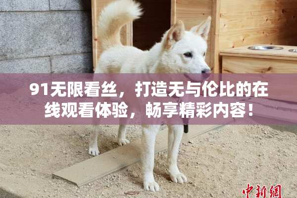 91无限看丝，打造无与伦比的在线观看体验，畅享精彩内容！