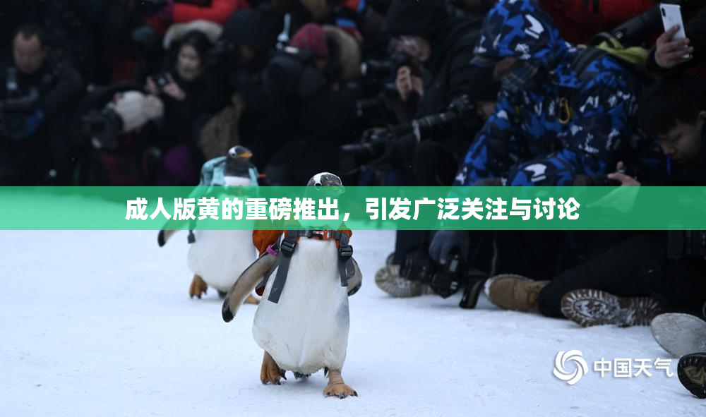 成人版黄的重磅推出，引发广泛关注与讨论