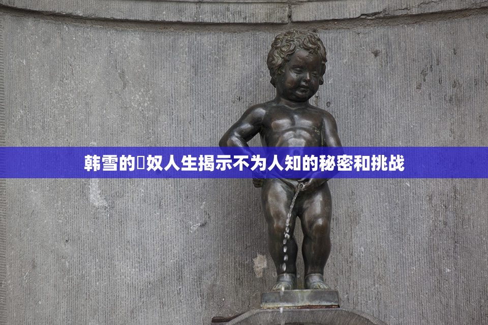 韩雪的婬奴人生揭示不为人知的秘密和挑战