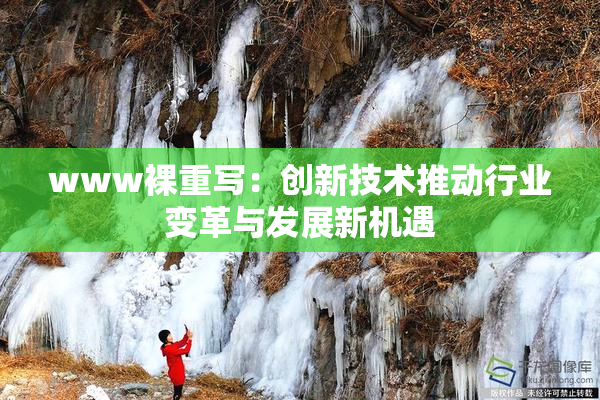 www裸重写：创新技术推动行业变革与发展新机遇