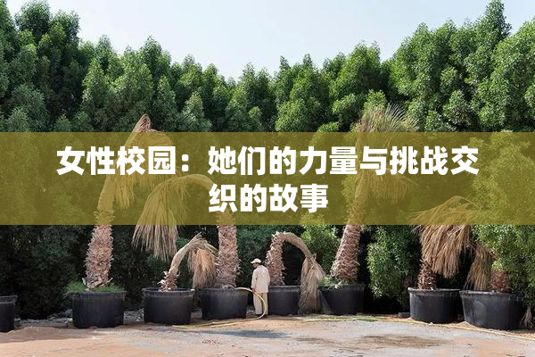 女性校园：她们的力量与挑战交织的故事