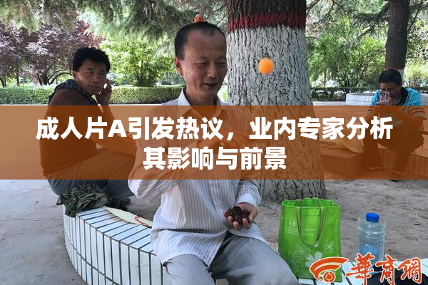 成人片A引发热议，业内专家分析其影响与前景