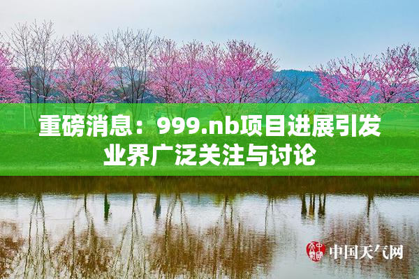 重磅消息：999.nb项目进展引发业界广泛关注与讨论