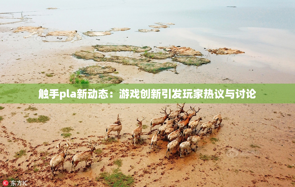 触手pla新动态：游戏创新引发玩家热议与讨论