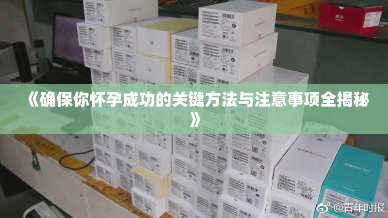 《确保你怀孕成功的关键方法与注意事项全揭秘》