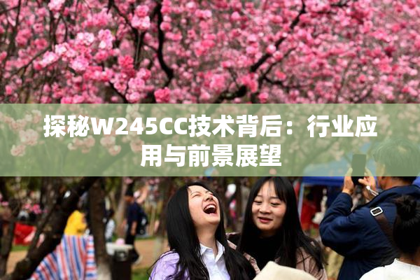 探秘W245CC技术背后：行业应用与前景展望