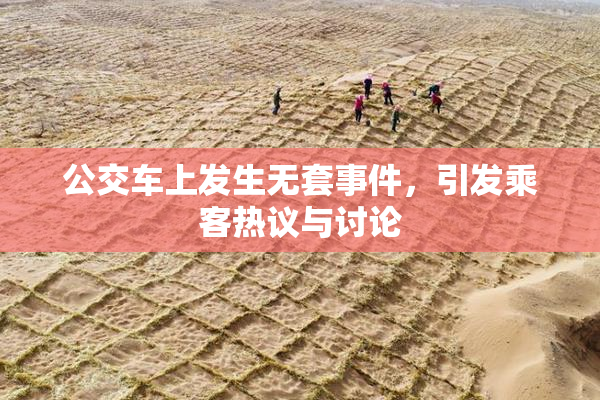 公交车上发生无套事件，引发乘客热议与讨论