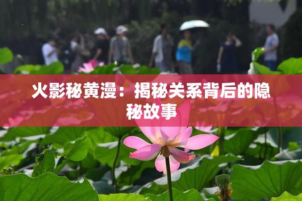火影秘黄漫：揭秘关系背后的隐秘故事