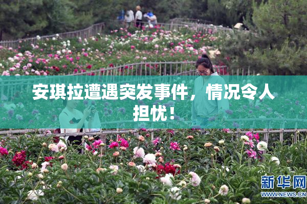 安琪拉遭遇突发事件，情况令人担忧！