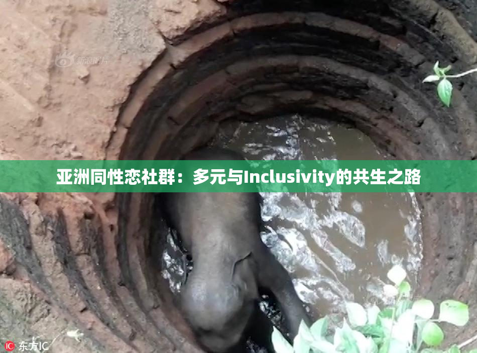 亚洲同性恋社群：多元与Inclusivity的共生之路
